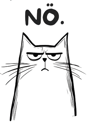 “Nö.” Grumpy Cat Pint Glass