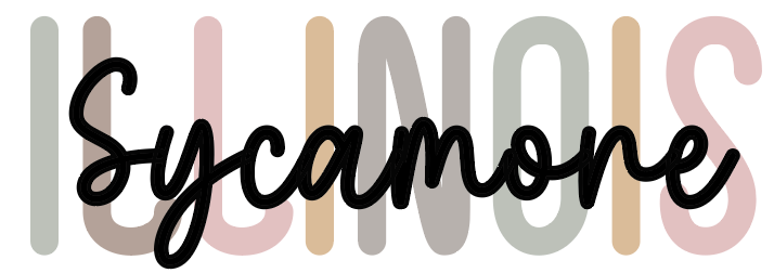 Custom Hometown Illinois Ornament