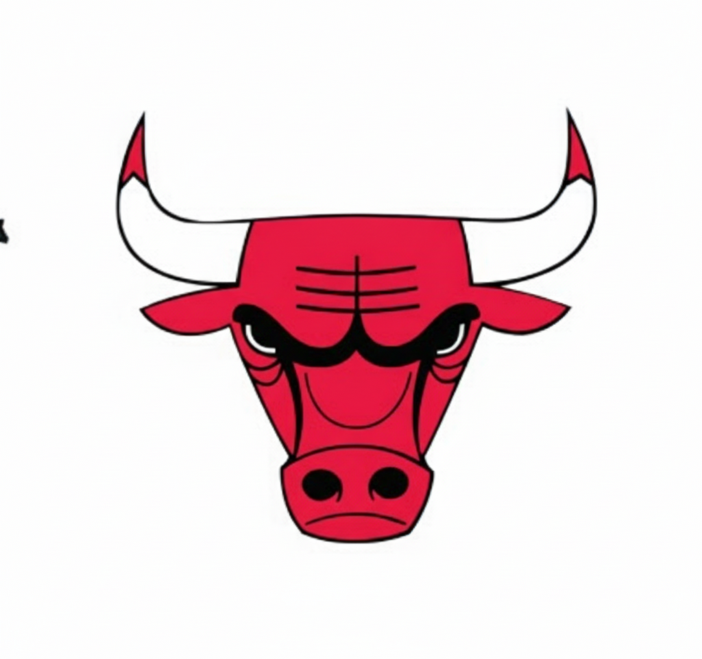 Chicago Bulls Basketball Pint Glass